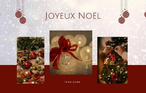 LA TEAM EANM VOUS SOUHAITE UN JOYEUX NOËL !