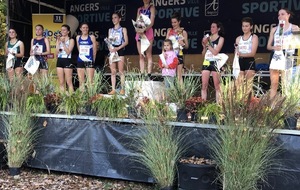 11 novembre : Foulées Baudelloises et Cross du Courrier de l’Ouest