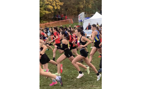 Week-end du 18-19 novembre